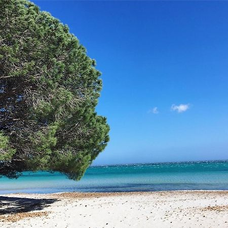 Appartement Proche Des Plus Belles Plages Porto-Vecchio  Buitenkant foto