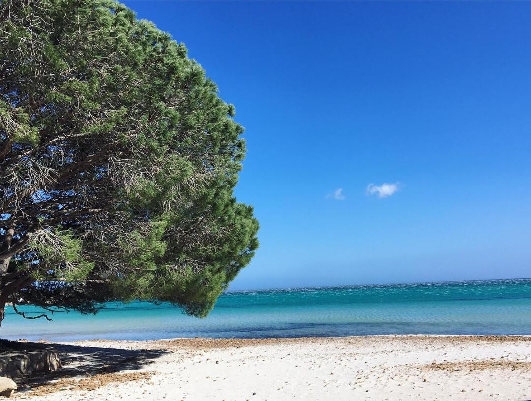 Appartement Proche Des Plus Belles Plages Porto-Vecchio  Buitenkant foto